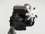 The FJ Company 1976 FJ40-219472 Land Cruiser Freeborn Red